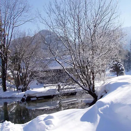 Traunmuehle バート・アウスゼー