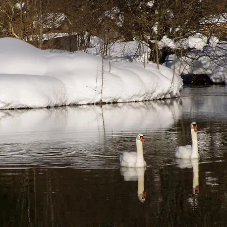 Traunmuehle アパート