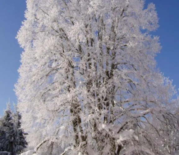 Traunmuehle Apartmán Bad Aussee