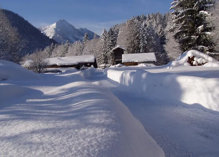 Apartment Traunmuehle