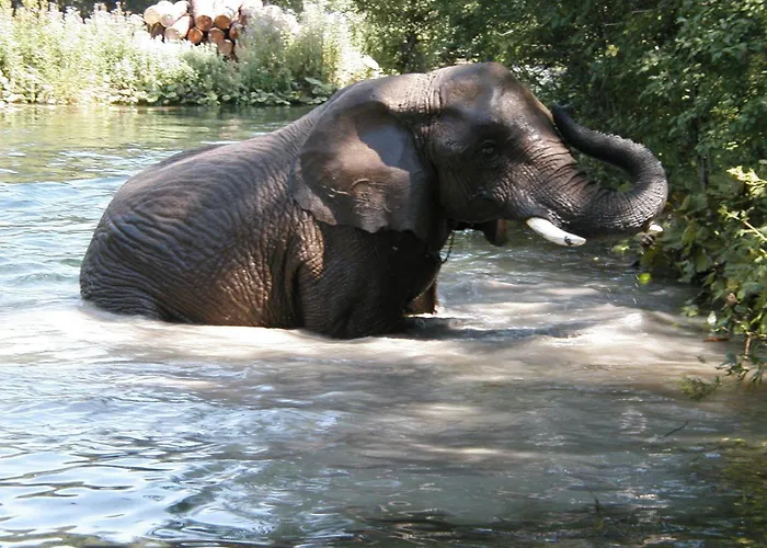 Traunmuehle Bad Aussee