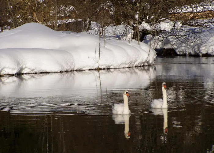 Traunmuehle Apartment